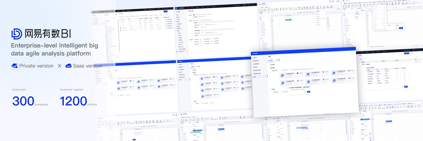 NetEase YouData BI · Project preview